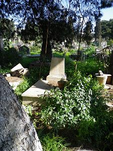 CIMETIERE DE TAMAZOUHET D ORAN EN MARS 2012  (98)